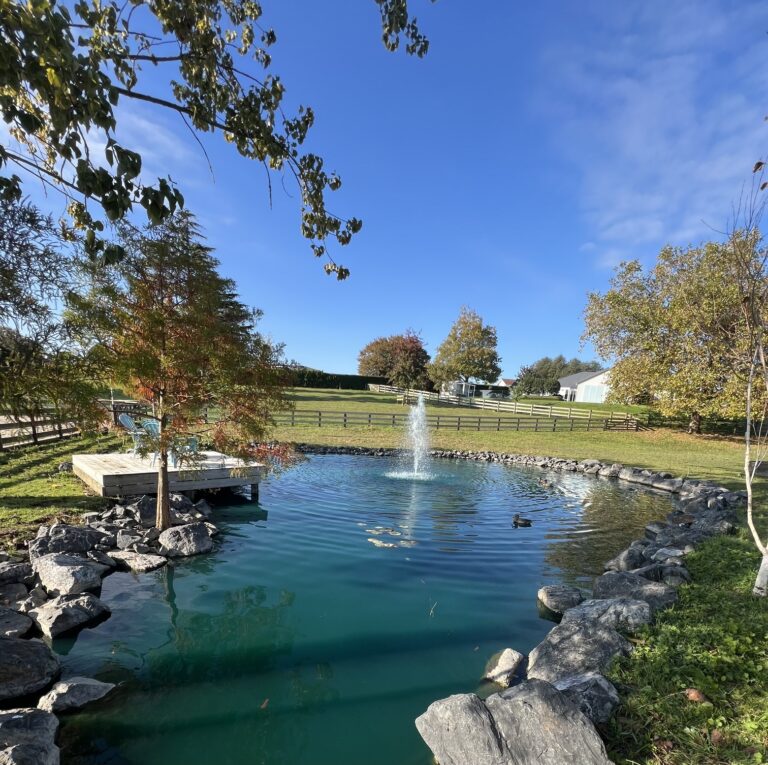 Blue Pond Dye with fountain