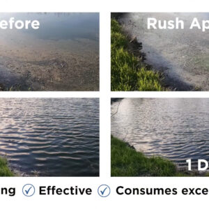 Rush-before& After | Healthy Ponds - New Zealand