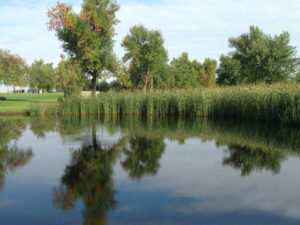 AquaSpherePRO – Pond Water Cleaner – What’s it all about?