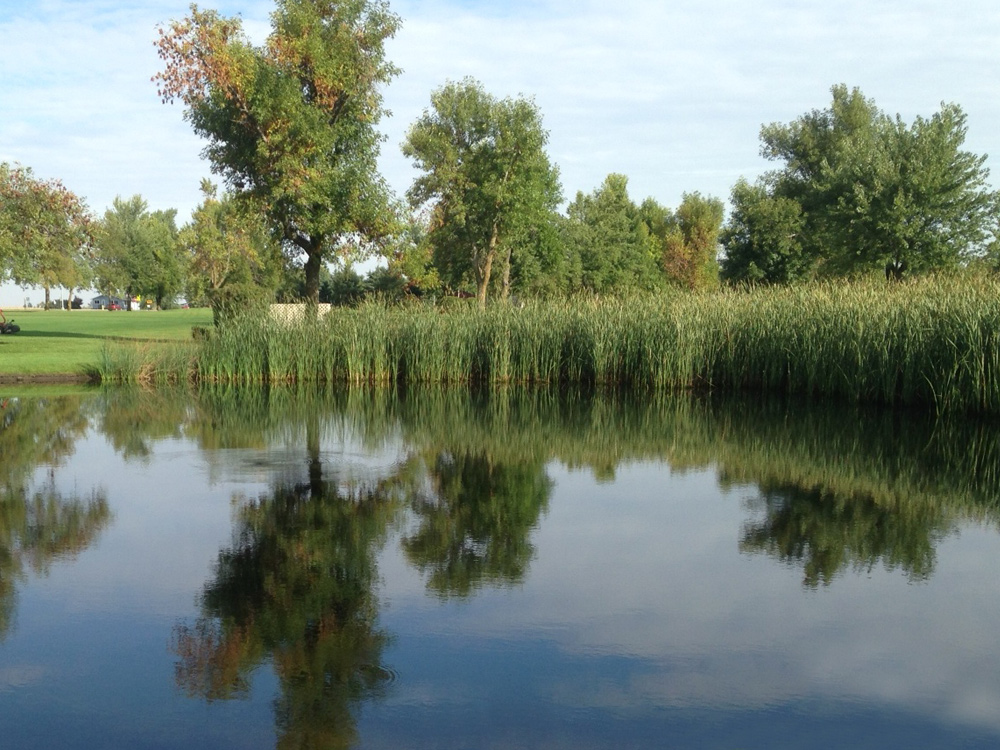 AquaSpherePRO – Pond Water Cleaner – What’s it all about?