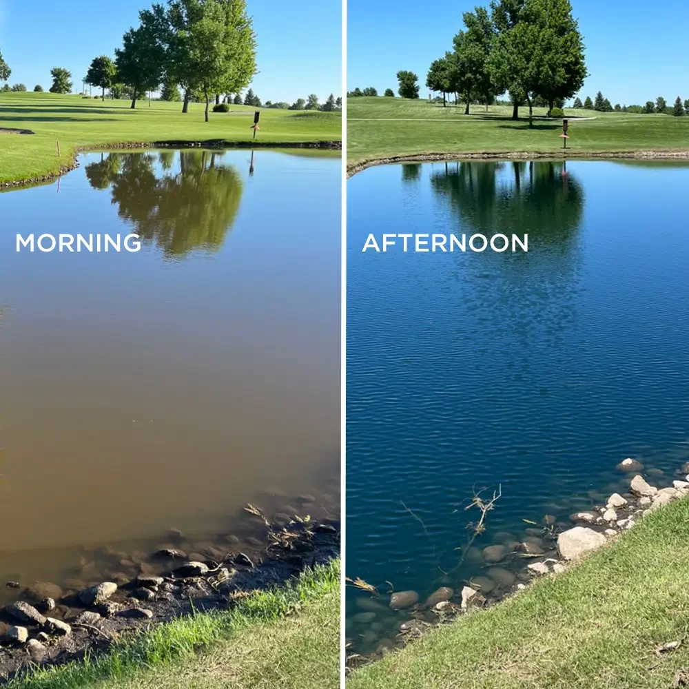 dye-morning-afternoon dye-morning-afternoon