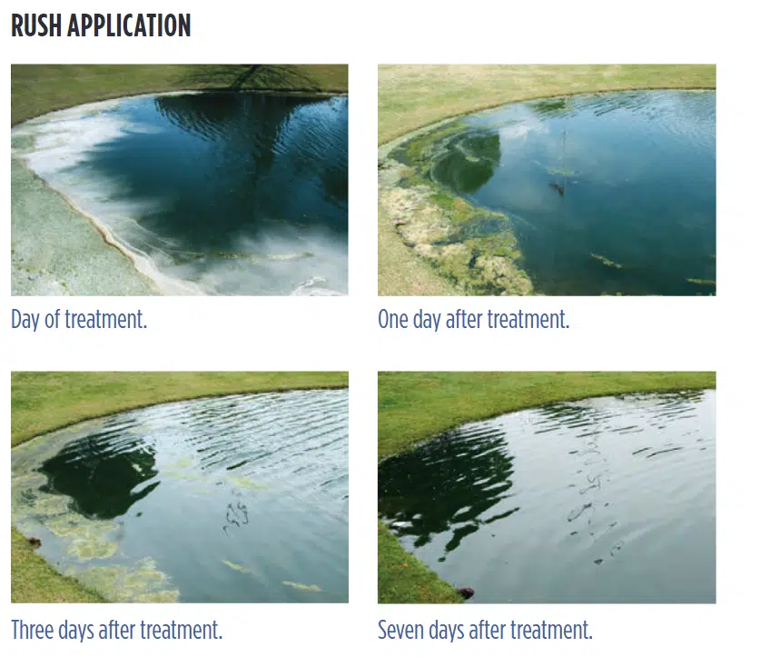 rush-treatment rush-treatment