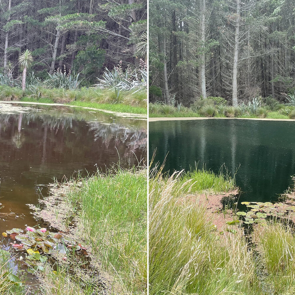 GroundsCare GroundsCare