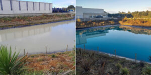 Healthy Ponds – Pond Dye