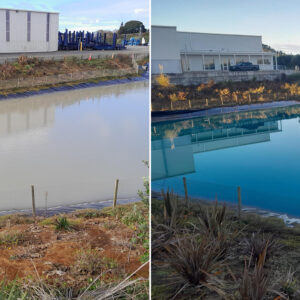 NZ | Healthy Ponds - New Zealand