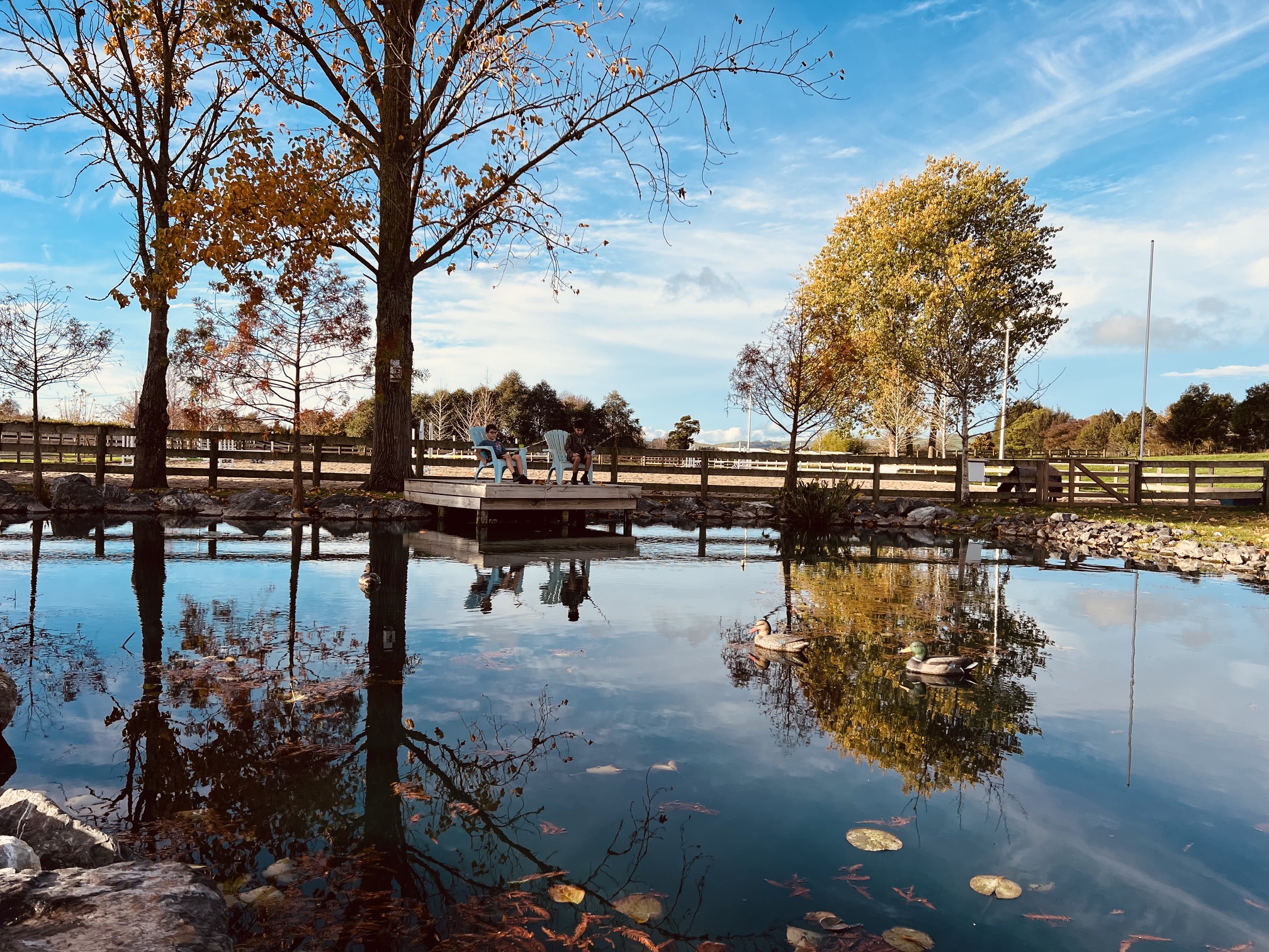 Pond in the winter