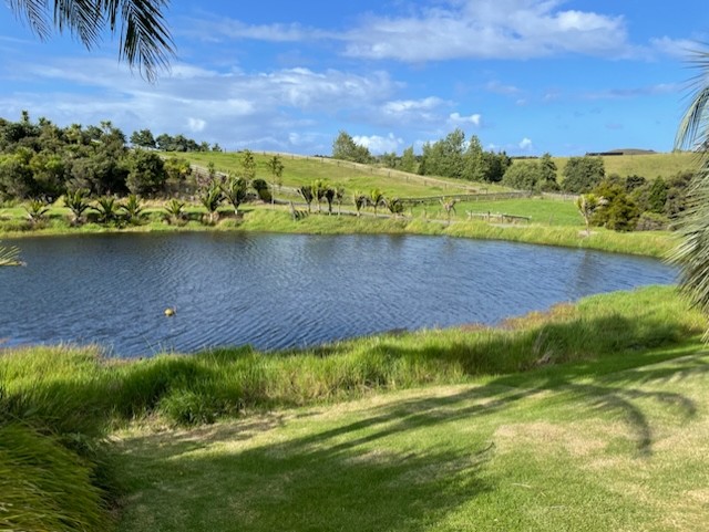 Results – 15 Days After Treatment (24 January)