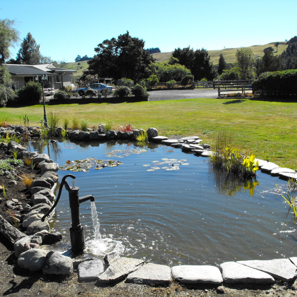 healthyponds_6_2010-Easter-