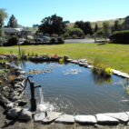 healthyponds_6_2010-Easter-